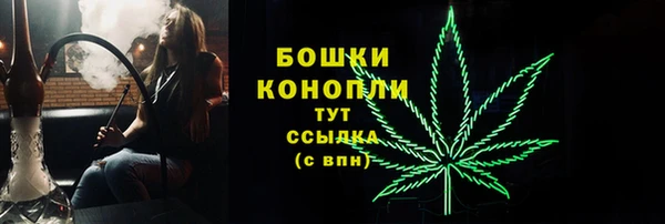 шишки Баксан