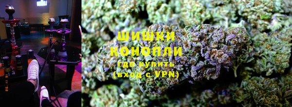 шишки Баксан