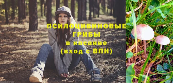 шишки Баксан