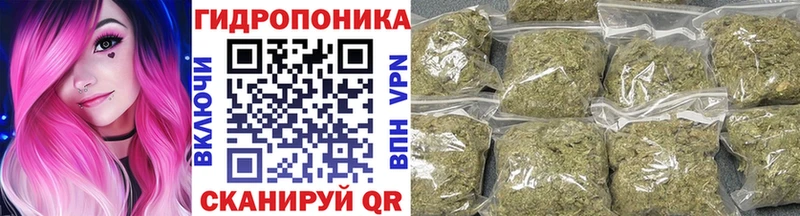 blacksprut ТОР  это наркотические препараты  Бошки Шишки ГИДРОПОН  магазин продажи наркотиков  Ессентуки 